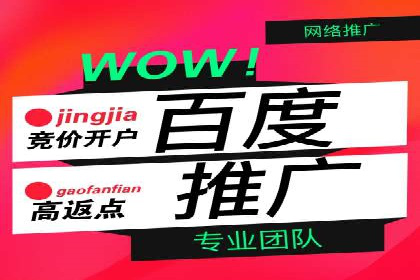 某企业通过百度竞价广告实现快速获客的实践